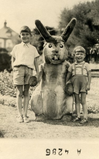 T’as pas besoin d’un flash quand tu photographies un lapin qui a déjà les yeux rouges.