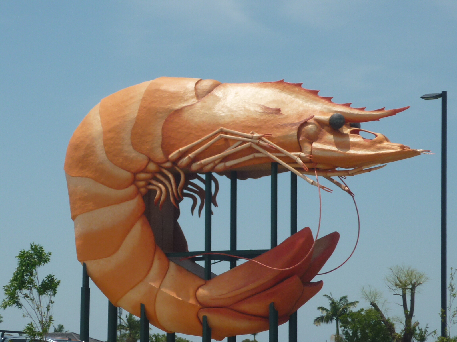 « On avait plus de glaçon, du coup on a mit des crevettes »