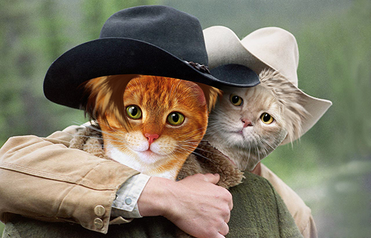 Qui aurait cru que les Entrechats et Brokeback Mountain étaient aussi proches.