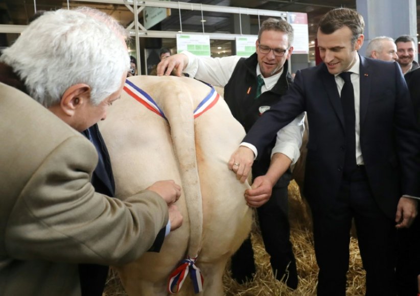 Pourquoi le président se rend toujours au salon de l’agriculture alors qu’il suffit d’assister au conseil des ministres pour voir des animaux ?